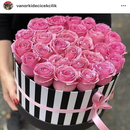 Kutuda Pembe Güller 25 Adet